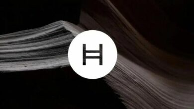 شارك الآن: مؤسس HBAR يدعو كاردانو، ريبل وألغوراند للتعاون – إليك التفاصيل