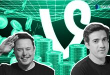 كل ما نعرفه عن عملة فاينكوين (VINE) - اكتشف الآن!