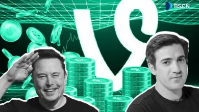 كل ما نعرفه عن عملة فاينكوين (VINE) - اكتشف الآن!