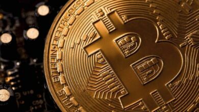 محلل يكشف إشارات دورة تنصيف بيتكوين: إمكانات غير مستغلة—ما الخطوة التالية؟ اكتشف الآن!