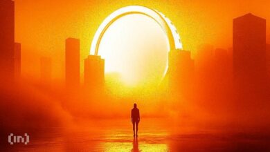 أفضل ثلاث عناوين لمحافظ ذكية لمتابعتها في الأسبوع الثاني من فبراير: اكتشف الفرص الآن!