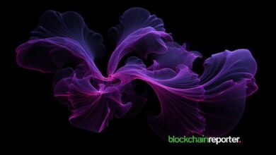 ثورة في الوصول عبر السلاسل بفضل تعاون بوش تشين مع Scroll - اكتشف المزيد!