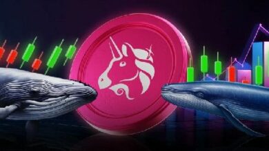 سعر Uniswap يظل ثابتًا مع شراء الحيتان عند الانخفاض – هل الوجهة التالية هي 10 دولارات؟