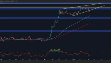 تحليل سعر ريبل: هل XRP بالفعل في مأمن بعد ارتداد يومي بنسبة 10%؟ اكتشف الآن!