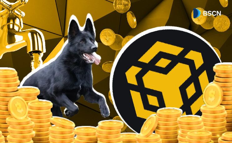 برنامج سيولة ميم كوين بقيمة 4.4 مليون دولار على شبكة BNB يبدأ الآن - اكتشف التفاصيل!