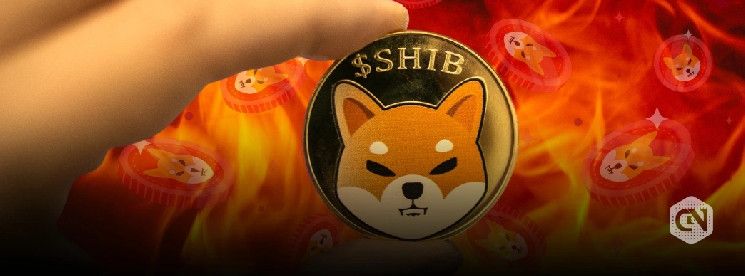 معدل حرق شيبا إينو يرتفع بنسبة 471% مع تدمير 15.39 مليون SHIB - اكتشف التفاصيل!