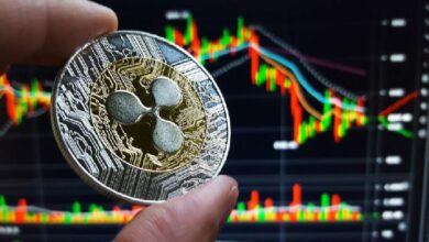 تحليل السوق يشير إلى انخفاض أسعار XRP وسولانا، هل يمكن أن تكون Dogizen ملاذاً آمناً؟ اكتشف الآن!