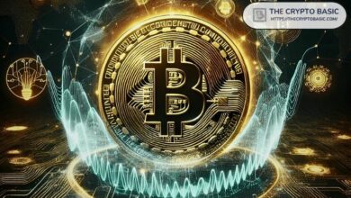 هل هناك شيء كبير قادم؟ الحيتان تُراكم البيتكوين كما لم يحدث من قبل - اكتشف المزيد الآن!