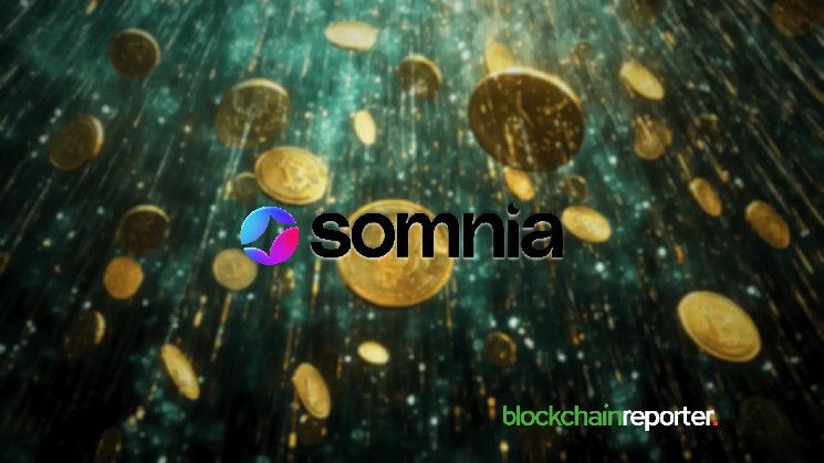 استثمار بقيمة 270 مليون دولار يرتقي بشركة Somnia بفضل MSquared وImprobable - اكتشف المزيد الآن!
