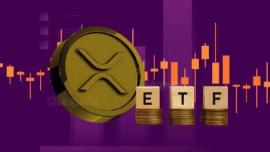 موافقة ETF على XRP: كبير مسؤولي الاستثمار في Bitwise يكشف عن الجدول الزمني ويشير إلى أنه "لعبة طويلة"