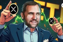 الرئيس التنفيذي لشركة ريبل: موافقة XRP ETF "حتمية" – تحليل رد فعل محتمل لسعر XRP