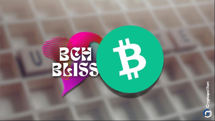 BCH يستعد لمؤتمر بليس 2025 في سلوفينيا وترقية الشبكة في مايو- تعرف على التفاصيل!