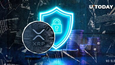 خبير استثماري يقول: "XRP عملة مركزية وأمنية خاضعة للسيطرة" - اكتشف الحقيقة الآن!