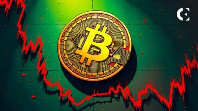 146 ألفاً بدلاً من 480 ألف: هجرة بيتكوين في السوق خارج البورصة ونقاش السوق الصاعد - اكتشف المزيد!