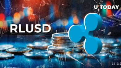 تفاصيل سك 3,100,000 من عملة Ripple بالدولار (RLUSD) على دفتر XRP - اكتشف المزيد!