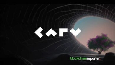 ارتفع رمز $CARV بنسبة 50٪ بعد فتح مصدر إطار عمل D.A.T.A. - اكتشف التفاصيل الآن!