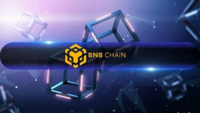 سلاسل BNB تخطط لتسريع الكتل والمعاملات بدون رسوم ودمج الذكاء الاصطناعي بحلول 2025 - اكتشف التحديث الآن!