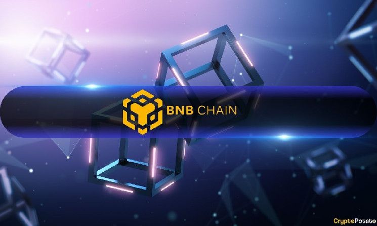 سلاسل BNB تخطط لتسريع الكتل والمعاملات بدون رسوم ودمج الذكاء الاصطناعي بحلول 2025 - اكتشف التحديث الآن!