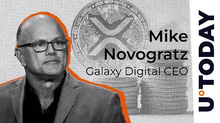 مايك نوفوغراتز: "إذا أراد الناس الانضمام إلى جيش XRP، فليكن!"