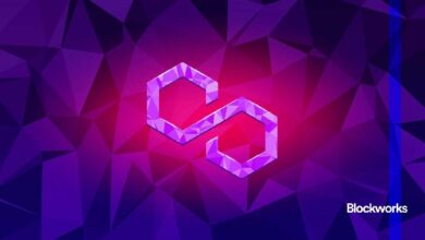 رياح دعم لتحول القطاعات نحو الطبقة الثانية: كايكو - اكتشف التفاصيل!