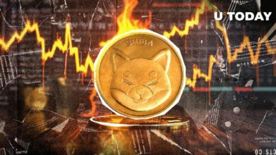 اكتشاف: تلاشي 2,261,918 شيبا إينو مع ارتفاع معدل حرقها بنسبة 226%