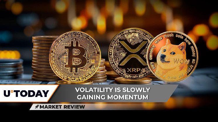 بيتكوين (BTC) ترتفع إلى 100,000 دولار: 3 مستويات محورية قادمة، هل يلحق XRP بالموجة الصاعدة؟ دوجكوين (DOGE) في موقف صعب للغاية