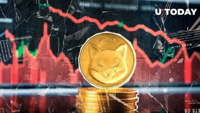 انخفاض شيبا إينو (SHIB) بسرعة: تسارع هبوط بنسبة 30% - اكتشف التفاصيل الآن!