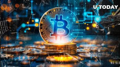 اكتشاف شذوذ في إنتاج كتل بيتكوين (BTC) - ماذا يحدث؟ تابع التفاصيل!