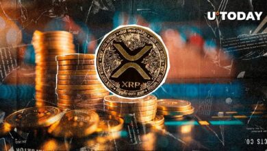 انخفاض سعر XRP بنسبة 26٪: 3 سيناريوهات سعرية تحتاج لمتابعتها