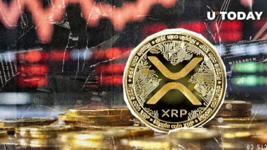 انخفاض مؤشرات XRP الرئيسية على البلوكشين بنسبة تصل إلى 50%: اكتشف ما يحدث!