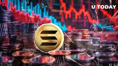 أفضل المحللين يدعي: سولانا تواجه الكراهية بعد تشويه سمعتها - اكتشف الأسباب والتداعيات!