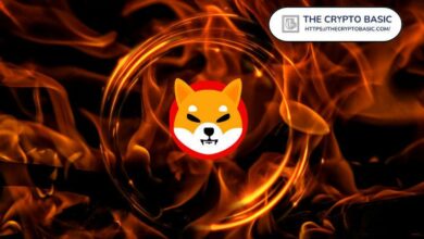 شيبا إينو تطلق مسابقة جديدة يمكن أن تحرق 10 مليار شيب يوميًا – اكتشف التفاصيل الآن!