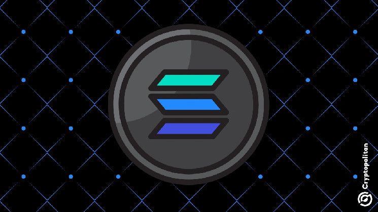 المدقق الشهير 2.6 مليون SOL، ميليا، متهم بتضليل المستثمرين - اكتشف التفاصيل!