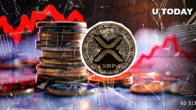 شبكة XRP تشهد تراجعاً هائلاً بنسبة 50% مع اختفاء 101,081 عنواناً نشطاً - اكتشف الأسباب الآن!