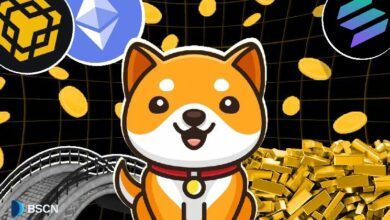 استكشاف BabyDoge: كنز OG على منصة BNB - اكتشف الآن!