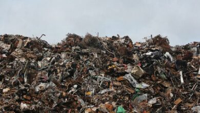 رجل يخطط بشراء مكب نفايات لإستعادة الـ 774 مليون دولار من البيتكوين المفقود - تعرف على التفاصيل!