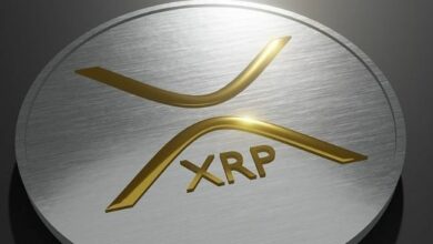 سعر XRP يدخل الجيب الذهبي: محلل يوصي بالشراء عند هذه المستويات - اكتشف المزيد!