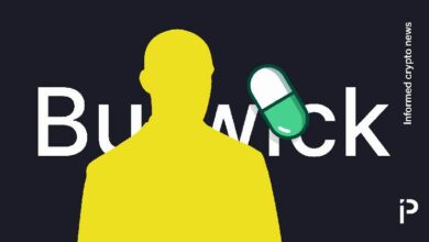 رئيس "بورويك لو" يرفض التعليق على ميم كوين "Dogshit2" - اكتشف التفاصيل المثيرة!