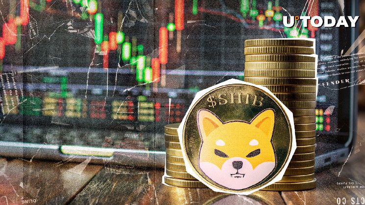 ثيران شيبا إينو (SHIB) على وشك الانطلاق: لا تفوت الفرصة!