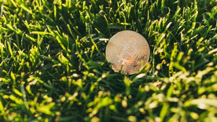 مرهق؟ احتفظ بـ BTC وخذ قسطًا من الراحة في الطبيعة