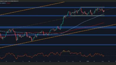 تحليل سعر البيتكوين: BTC يظهر قوة في مواجهة البيع الكثيف بالسوق - اكتشف التفاصيل الآن!