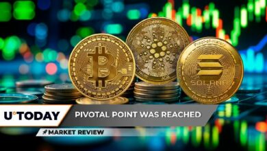 مرة أخرى: هل البيتكوين (BTC) مستعدة للوصول إلى 100,000$؟ كاردانو (ADA) قد تستعيد 50% في هذا الانتعاش، سولانا (SOL) تصل لنقطة إعادة التعيين - اكتشف الآن!