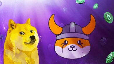 محلل العملات الرقمية يتوقع عودة صعود ميمكوينز وزيادة سعر DOGE وFLOKI - اكتشف المزيد!