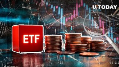 رئيس شركة ETF Store يتحدث عن هيئة الأوراق المالية: ماذا يحدث مع XRP، DOGE، Solana، وLitecoin؟