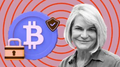 عاجل: السيناتور لوميس تقول "يمكن تدقيق احتياطي البيتكوين في أي وقت على مدار الساعة باستخدام حاسوب بسيط" - اكتشف التفاصيل!