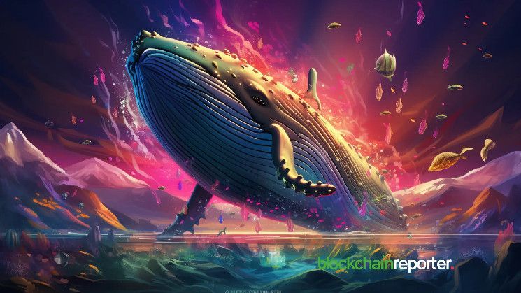 تفريغ هائل لـ$EIGEN: خروج الحوت بخسارة بملايين الدولارات - اكتشف التفاصيل!