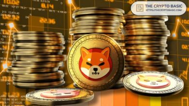 تراكم حاملي شيبا إينو الكبير رغم تراجع السعر بنسبة 18% هذا الأسبوع - اكتشف المزيد!