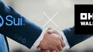 شراكة سوي نتورك ومحفظة OKX لتعزيز الأمان: اكتشف التفاصيل الآن