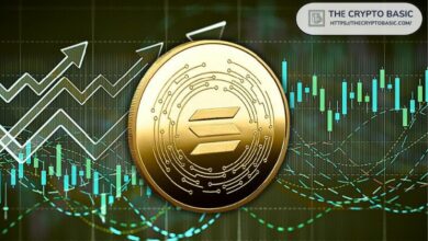 الثيران في سولانا يستهدفون 350 دولار: اكتشف تشكيل القاع المزدوج الآن!