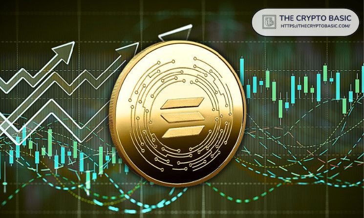 الثيران في سولانا يستهدفون 350 دولار: اكتشف تشكيل القاع المزدوج الآن!